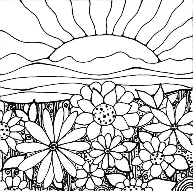 736x728 Coloring Pages Of Sunsets