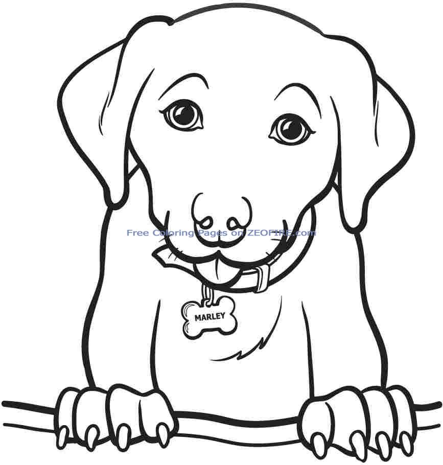 867x910 Coloring Pages Girls Printable For Teens