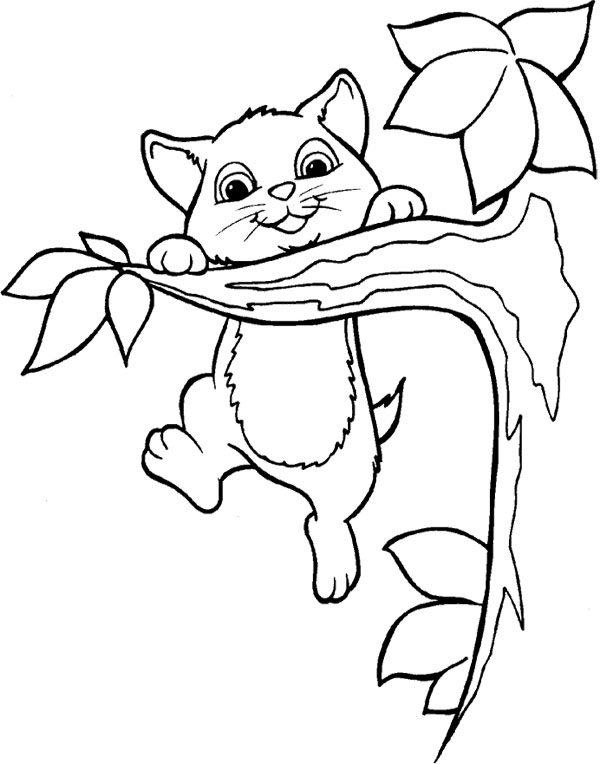 600x764 Branch Tree And Cat Coloring Page Tree