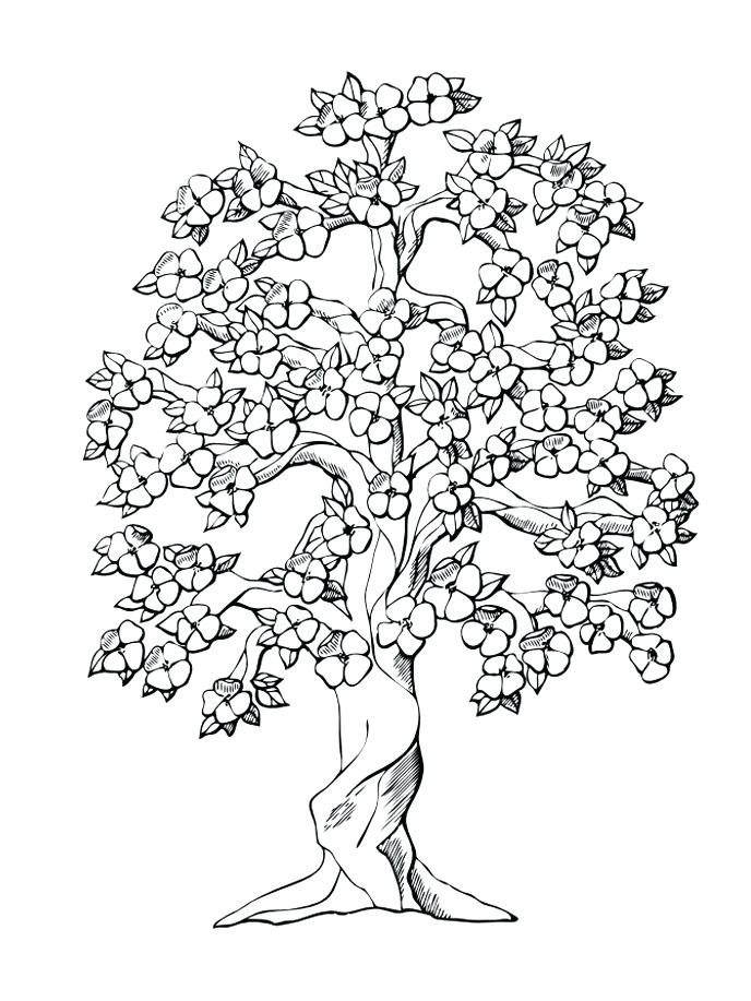 688x917 And Family Tree Coloring Pages Printable Colouring To Together