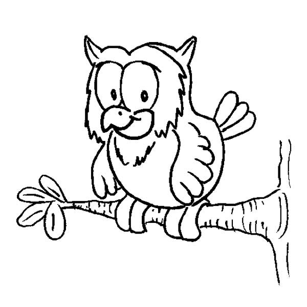 600x599 Owl On A Tree Branch Coloring Page