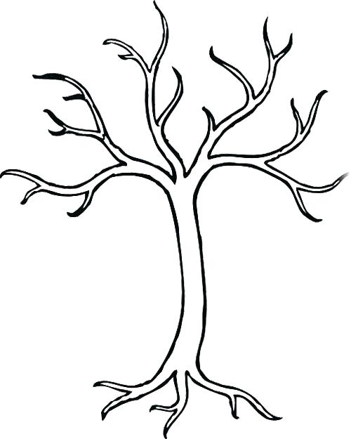 500x625 Bare Tree Branches Coloring Page Bare Tree Without Leaves Coloring