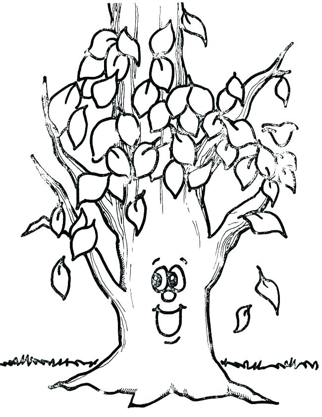 650x841 Bare Tree Branches Coloring Page Leafless Tree Coloring Page Tree