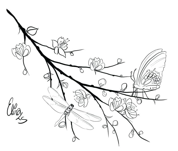 730x619 Branch Coloring Page Dragonfly And Butterfly Perching On Cherry