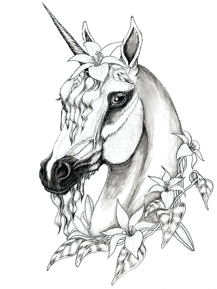 736x976 Pegasus Coloring Pages Unicorn Coloring Page Free Beyblade Metal