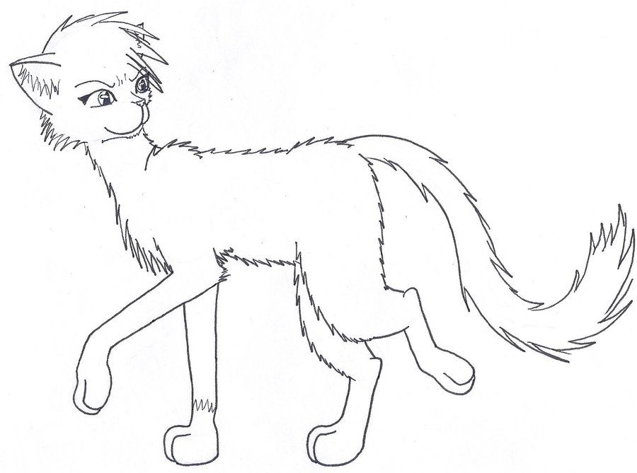 Coloring Pages Of Warrior Cats
