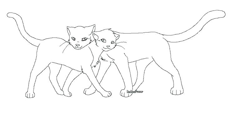 736x371 Lovely Warrior Cat Coloring Pages For Warrior Cat Clan Coloring