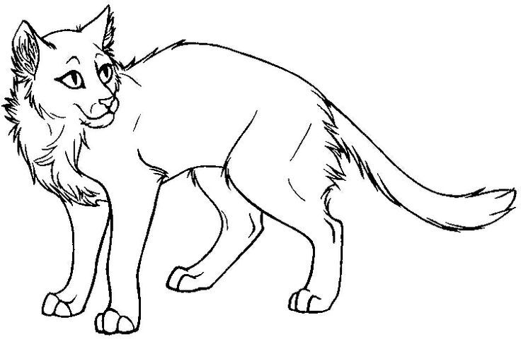736x487 Pin By On Coloring Templates