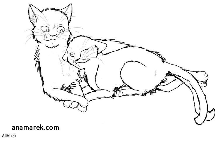 736x490 Warrior Cat Coloring Pages