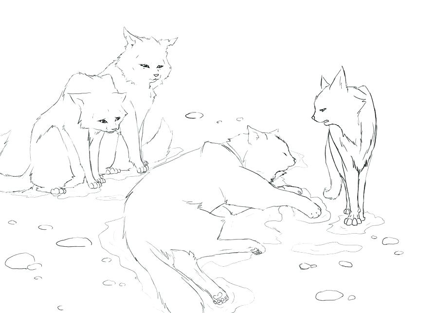 900x643 Warrior Cats Coloring Cat A Warrior Warrior Cats Fighting Coloring