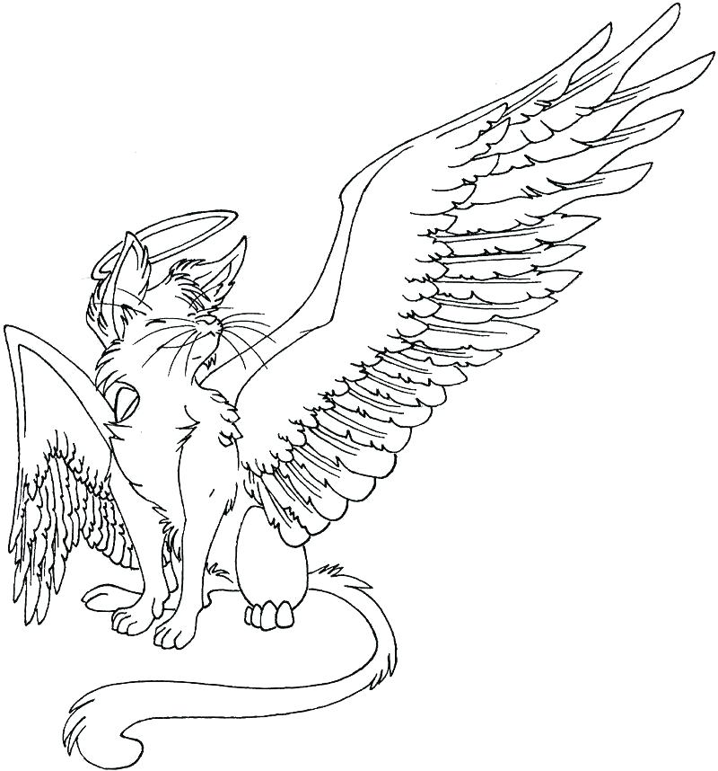 800x858 Astonishing Warriors Cats Coloring Pages Warrior Cat Coloring