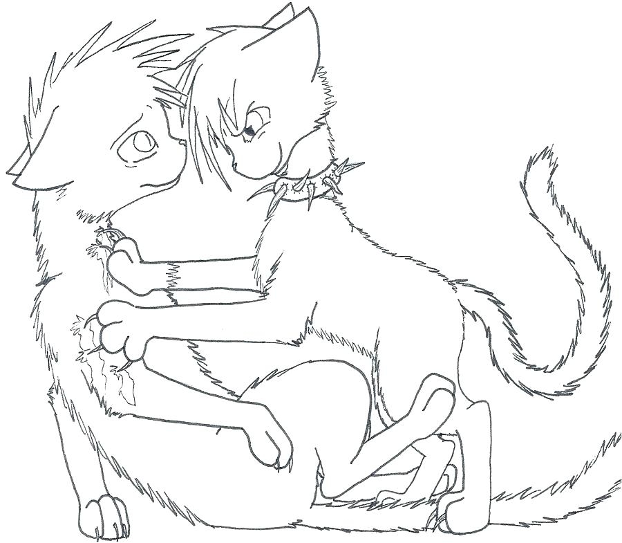 900x785 Warrior Cats Coloring Pages Sad Warrior Cats Coloring Pages