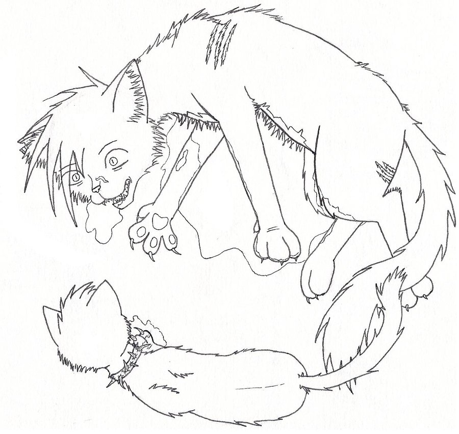 900x852 Warrior Cats Coloring Pages Warriors Cats Coloring Pages Kids