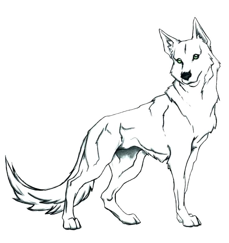 736x779 Cute Wolves Coloring Pages Wolf Click To See Printable Version