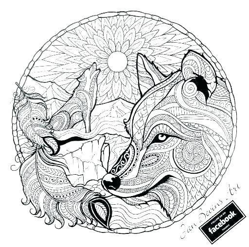 512x509 Wolf Pictures To Color