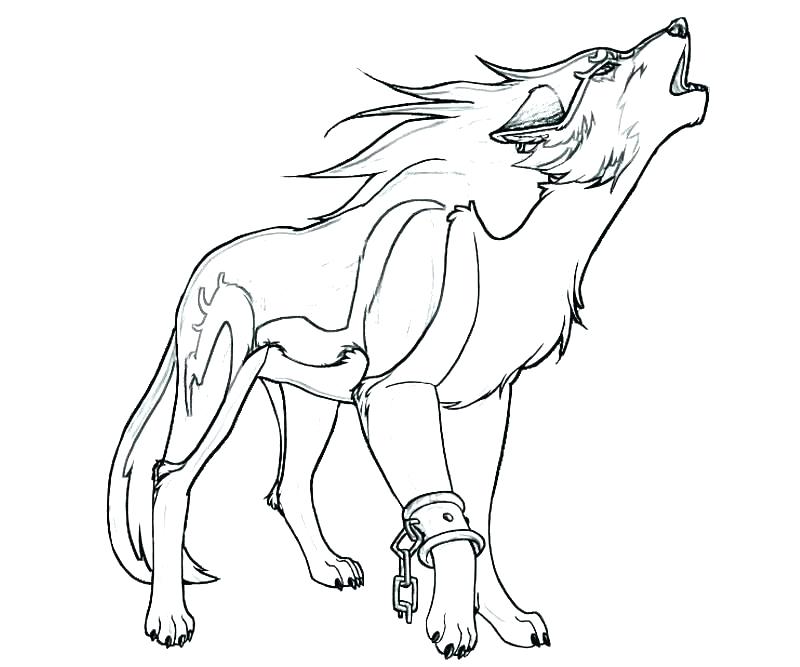 800x667 Coloring Pages Wolves Latest Realistic Wolf Coloring Page