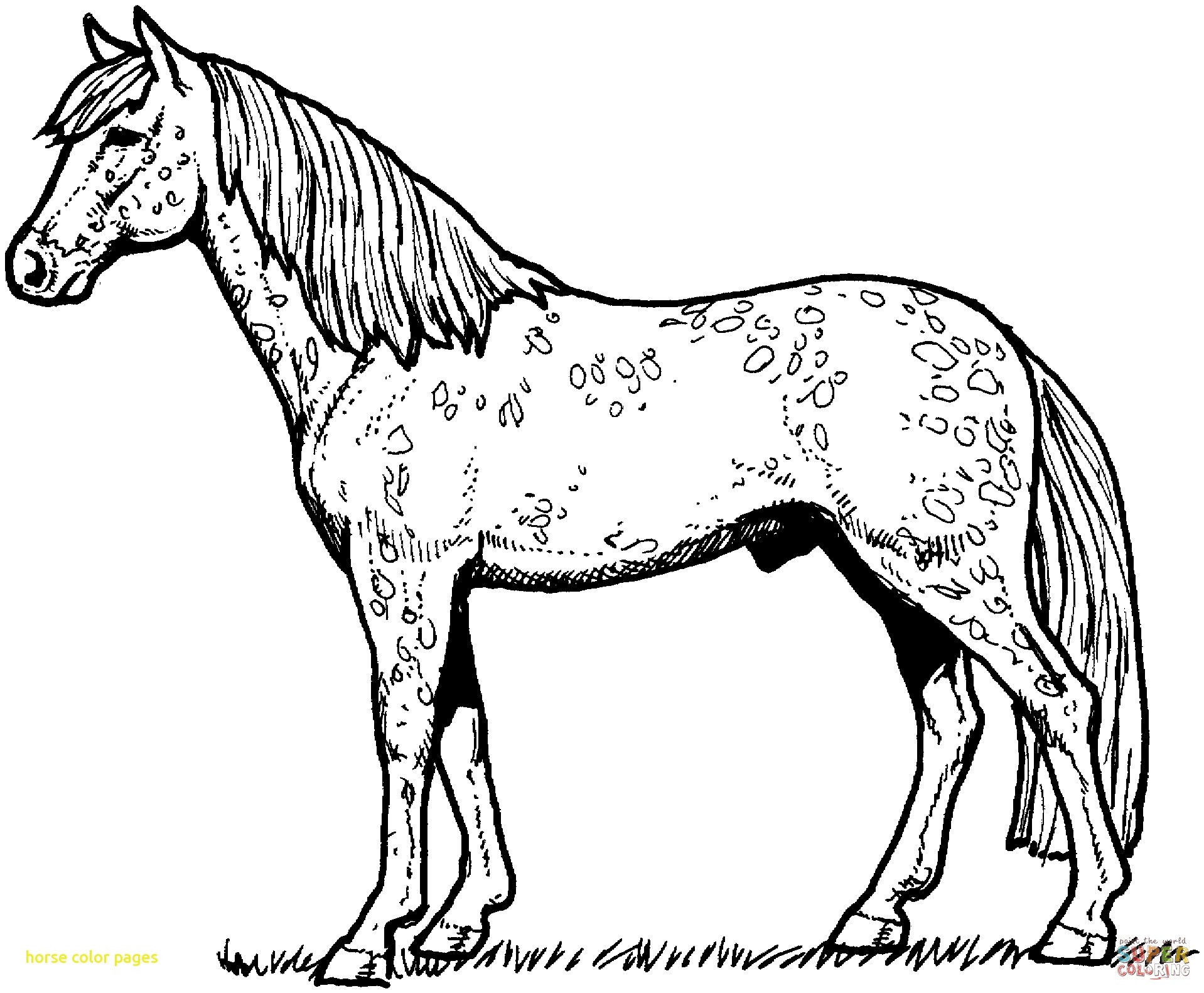 1918x1581 Coloring Pages Horses With Horse Coloring Pages Sheets And Free