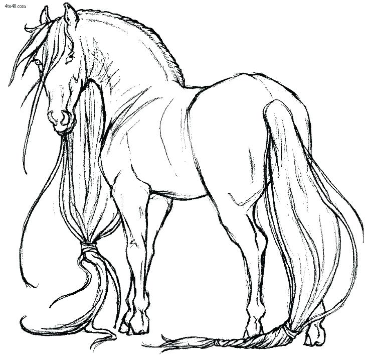 736x707 Horse Coloring Pages Horses Coloring Page Coloring Pages Of Horses