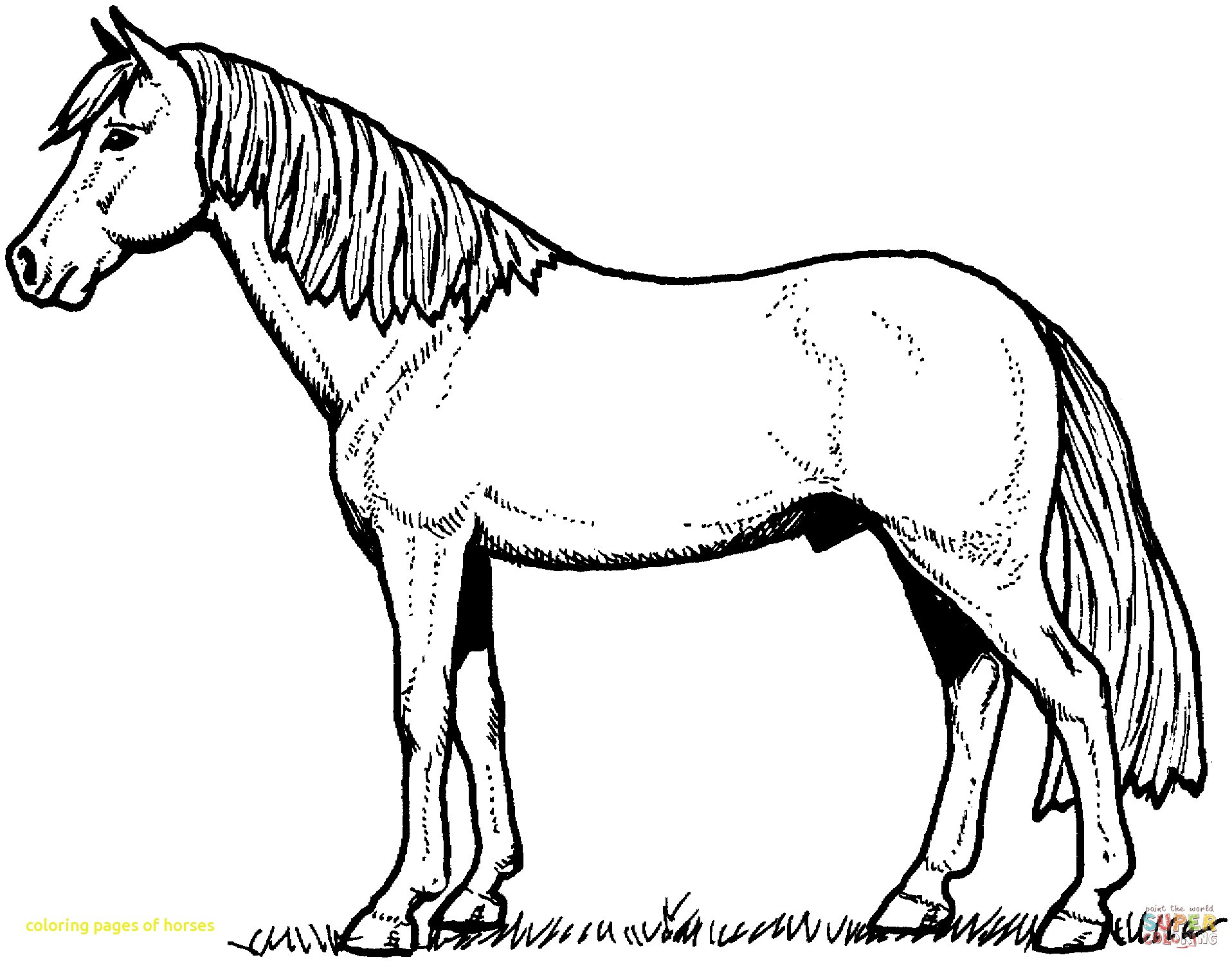 1916x1496 Awesome Www.coloring Pages