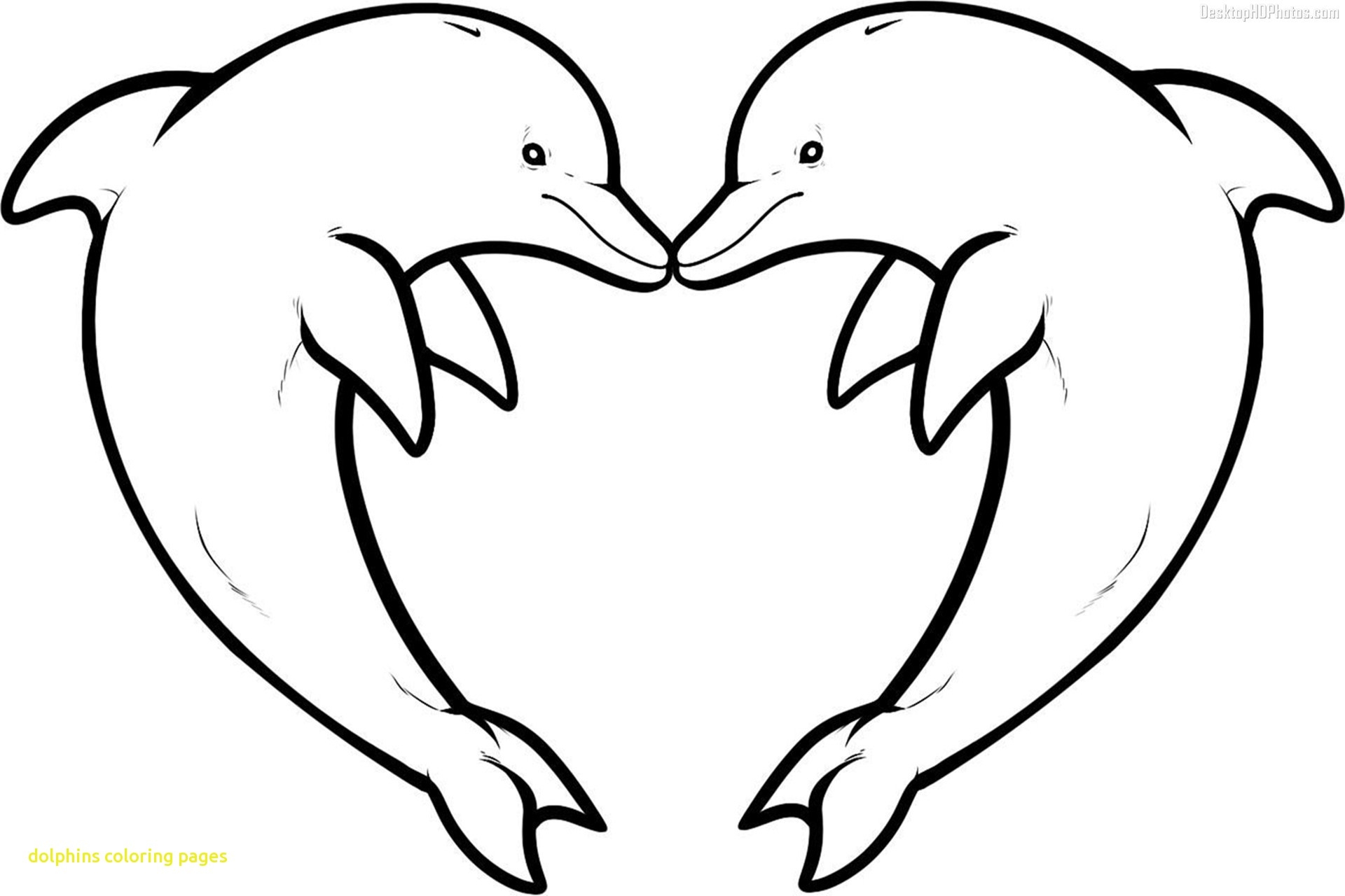 1920x1280 Genuine Printable Dolphin Pictures Free Clipart Coloring Pages