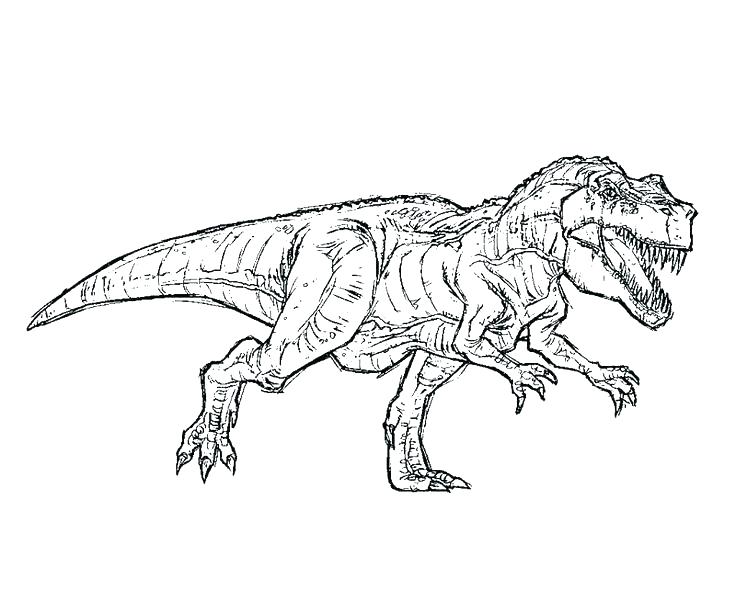 736x613 Spinosaurus Coloring Page Coloring Pages Wonderful Park Coloring