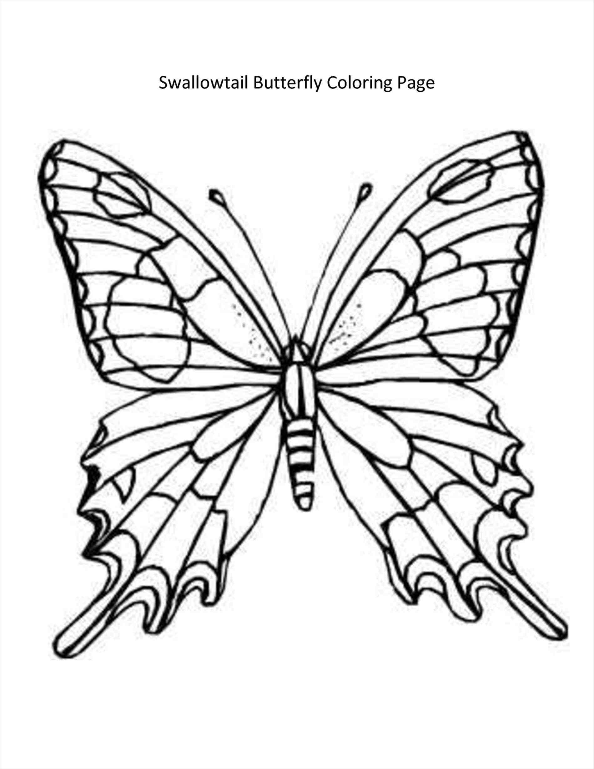 1900x2458 Butterfly Coloring Pages Pdf Kidsnfun 56 Coloring Pages