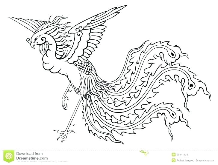 728x553 Phoenix Coloring Pages Phoenix Coloring Pages Phoenix Coloring