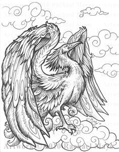 236x301 Phoenix Coloring Page Coloring Boys Phoenix, Adult