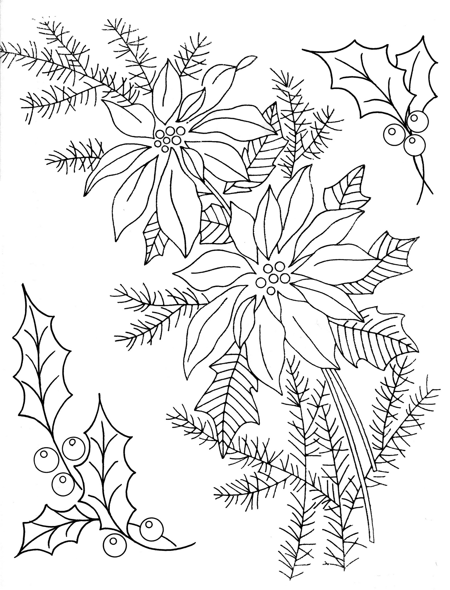 1562x2048 Holly Amp Poinsettia Embroidery Patterns Gallery