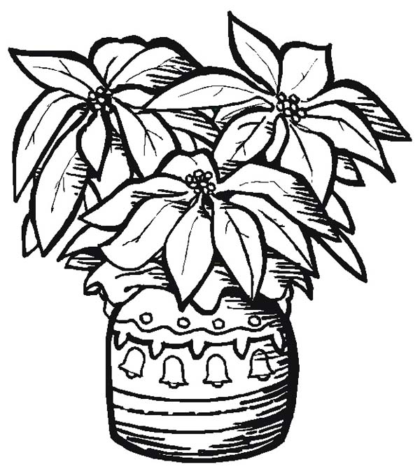 600x669 Pottery Poinsettia Coloring Page Color Luna