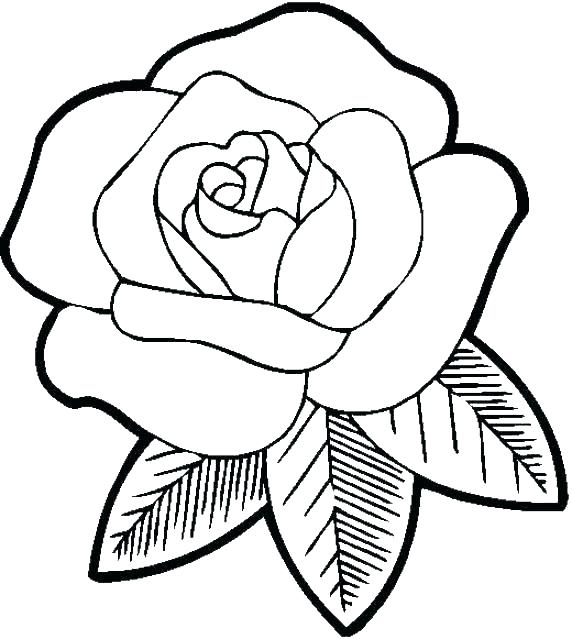 572x639 Easy Coloring Pages Printable Easy Animal Coloring Pages Colouring