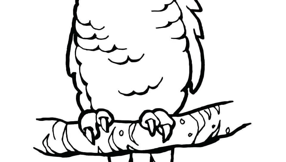 960x544 Parrot Coloring Sheet Parrot Coloring Page Parrot Coloring Sheets