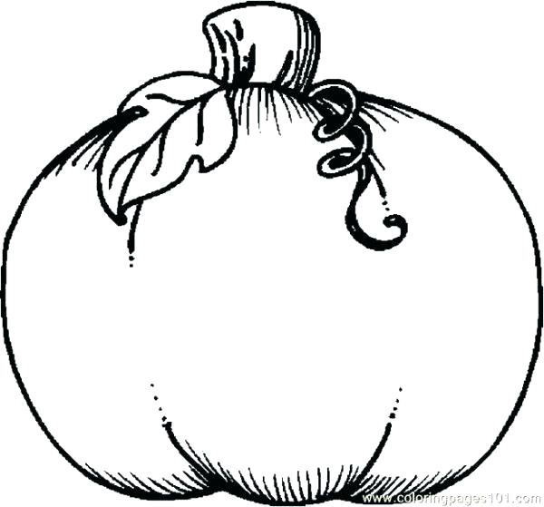 600x559 Amazing Free Pumpkin Coloring Pages Pumpkin Coloring Pages Free