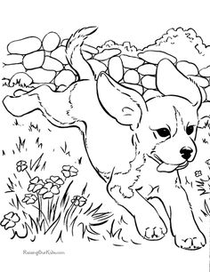 236x306 Free Printable Coloring Pages Printables Free