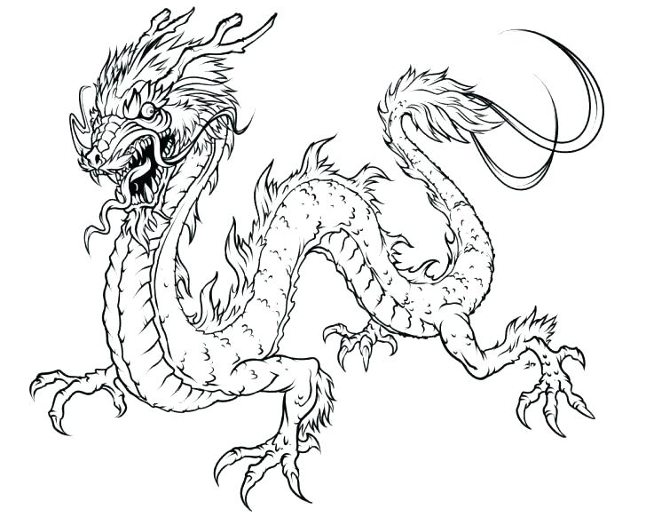728x582 Realistic Animal Coloring Pages