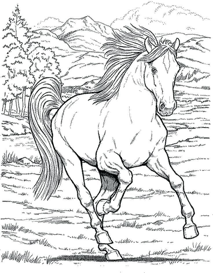 736x945 Horse Coloring Page Horse Coloring Pages For Girls Printable Kids