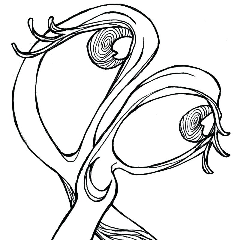 800x800 Scissor Coloring Pages Popular Items For Scissors Art On Coloring