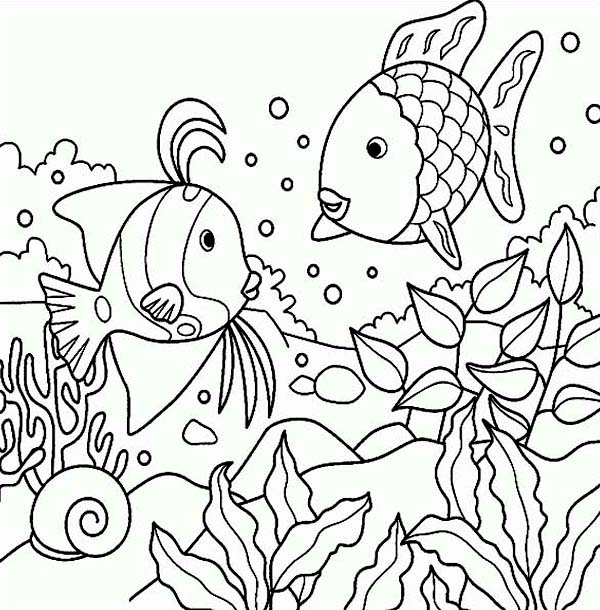 600x610 Free Rainbow Fish Sea Animals Coloring Page.jpg