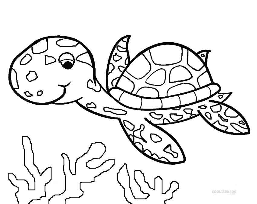 850x675 Printable Sea Turtle Coloring Pages For Kids Cool2bkids