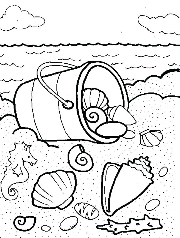 600x793 Sea Shell Coloring Page Seashell Coloring Pages Sea Shells