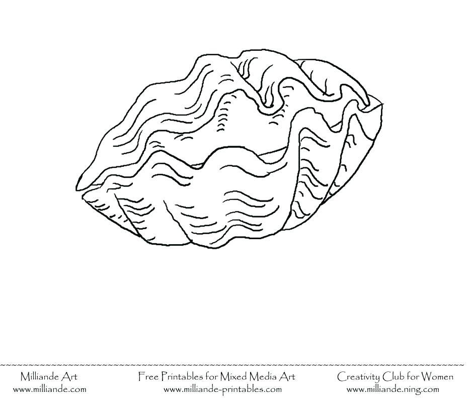 940x798 Sea Shell Sheets Sea Shells Coloring Pages Seashell Coloring Page