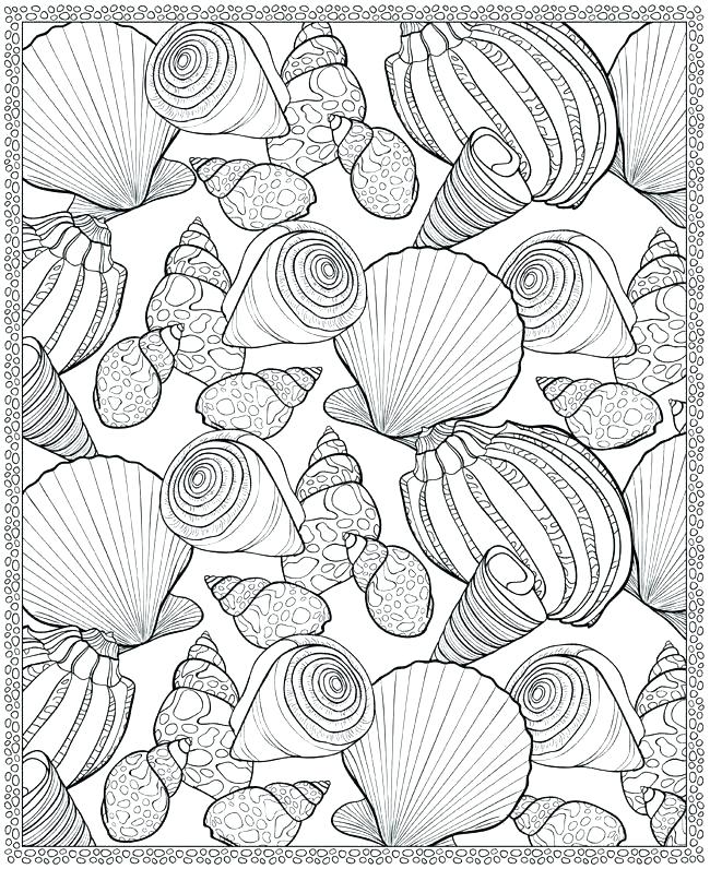 650x796 Seashell Coloring Page Sea Shells Coloring Pages Seashells