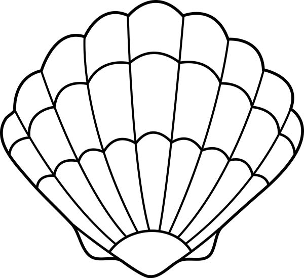 600x550 Seashell Coloring Pages