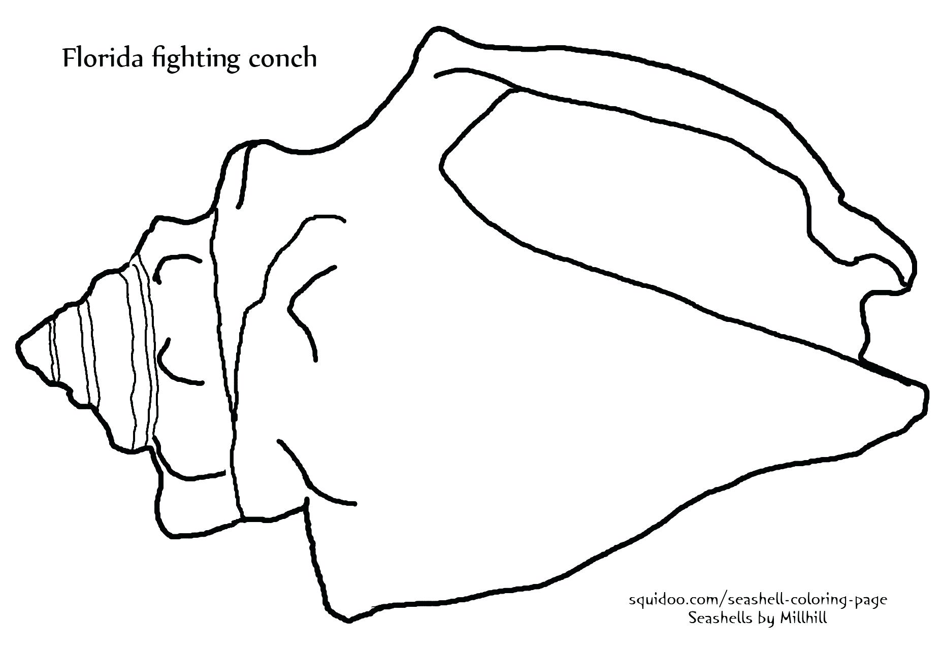 1857x1280 Seashells Coloring Page Of Pretty Sea Shells Art Lessons
