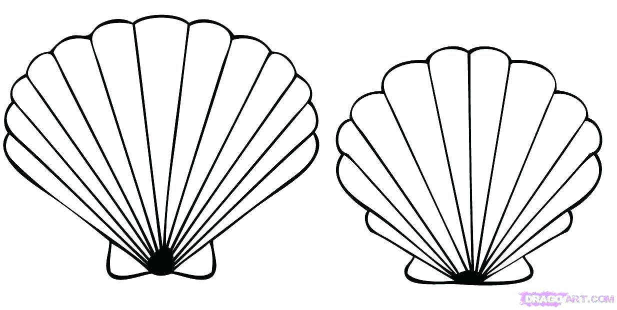 1234x621 Seashells Coloring Page Three Shells Coloring Page Printable