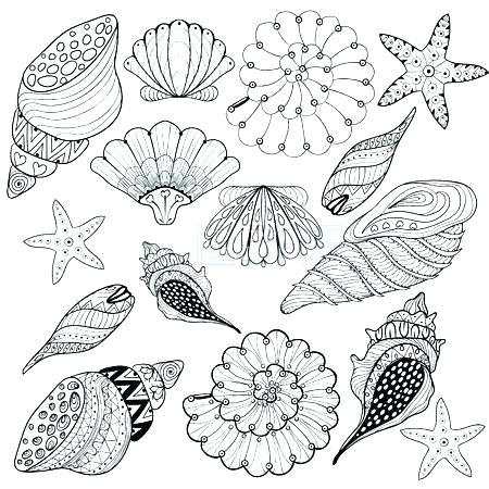 450x450 Shells Coloring Page S S Printable Seashells Coloring Pages
