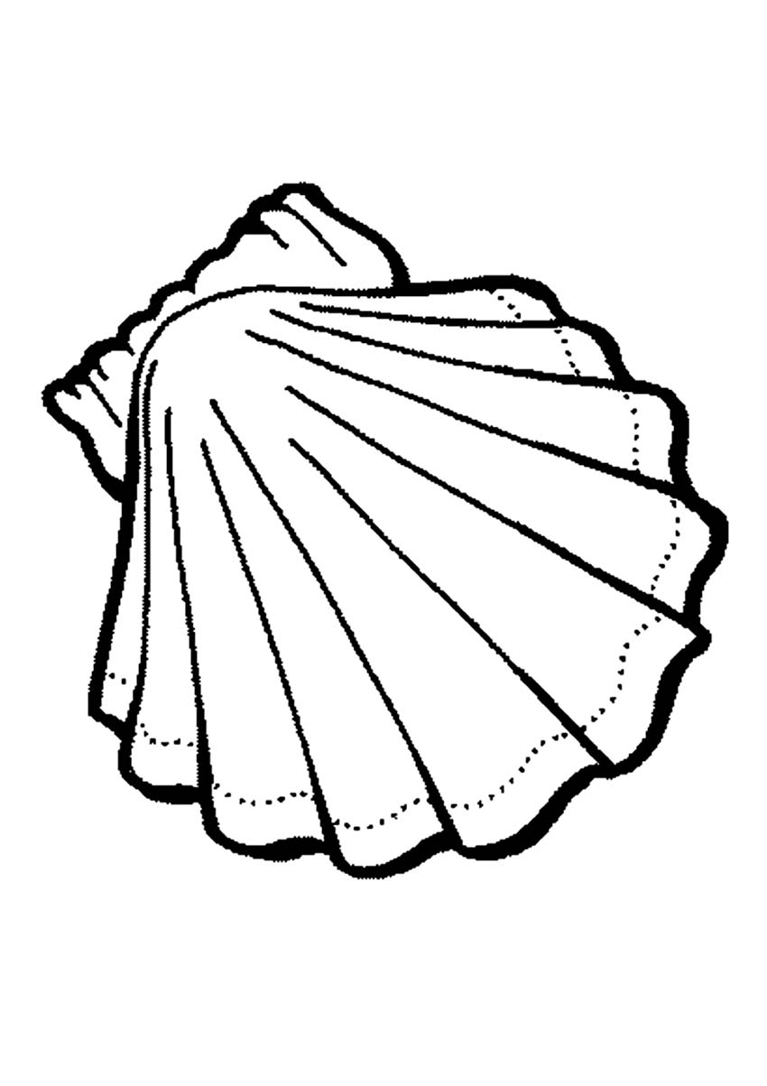 850x1203 Simplified Seashell Coloring Pages Page Sea Shells Printable
