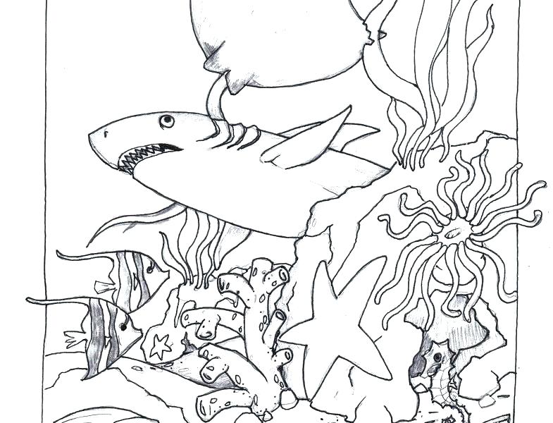 785x600 Beach Scene Coloring Page Ocean Scene Coloring Page Ocean Scenes
