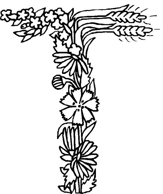 671x800 Letter T Coloring Pages