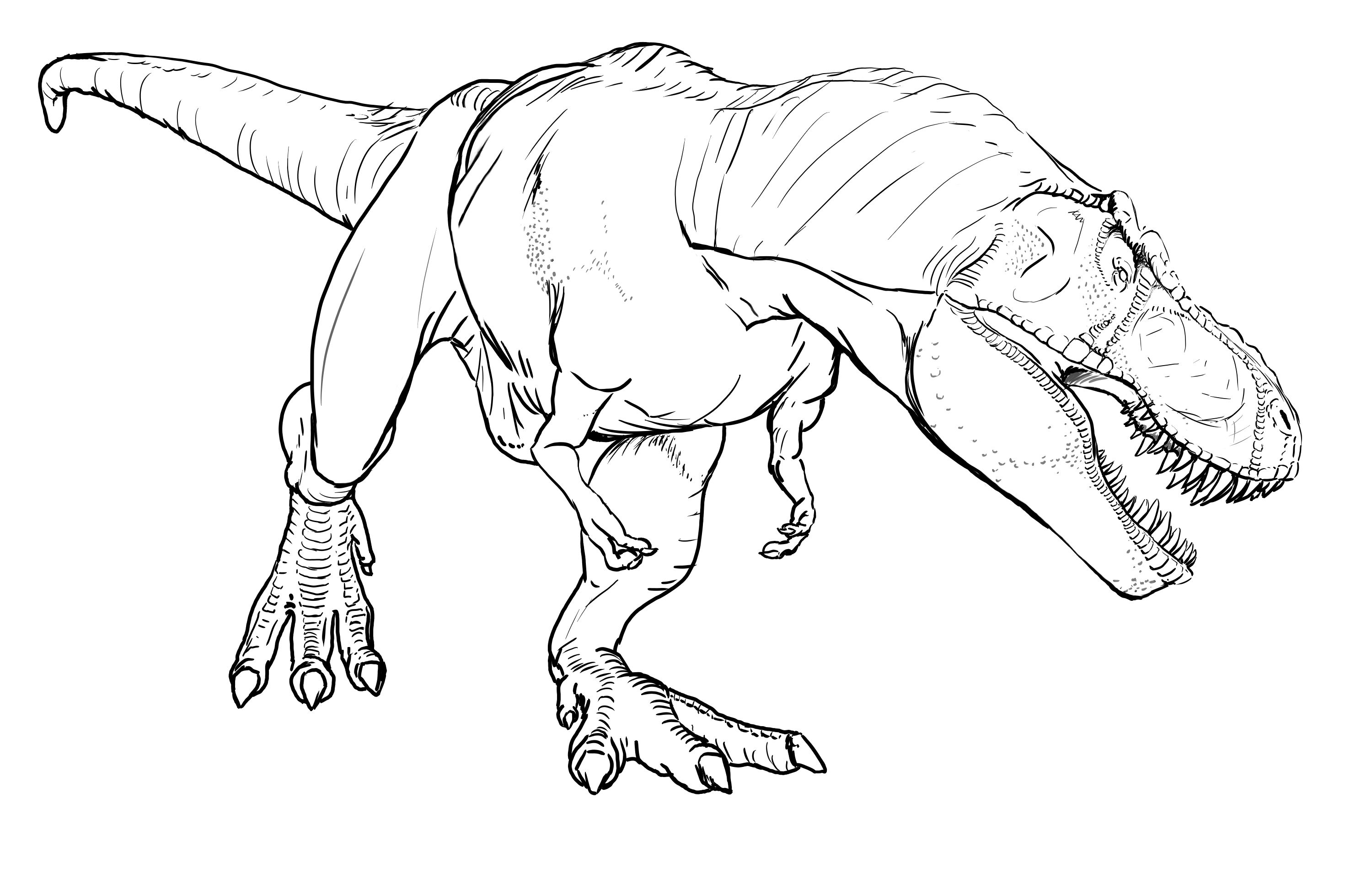 3000x1910 T Rex Coloring Pages Coloring Pages Kids Collection